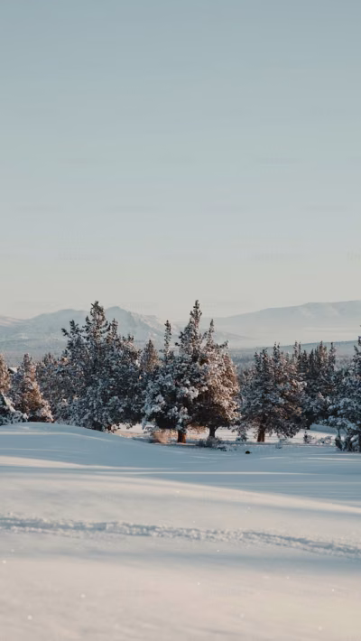 Give the Gift of Better Golf This Christmas